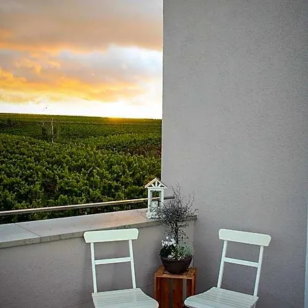 Winzerhotel Trautwein 4* Flonheim